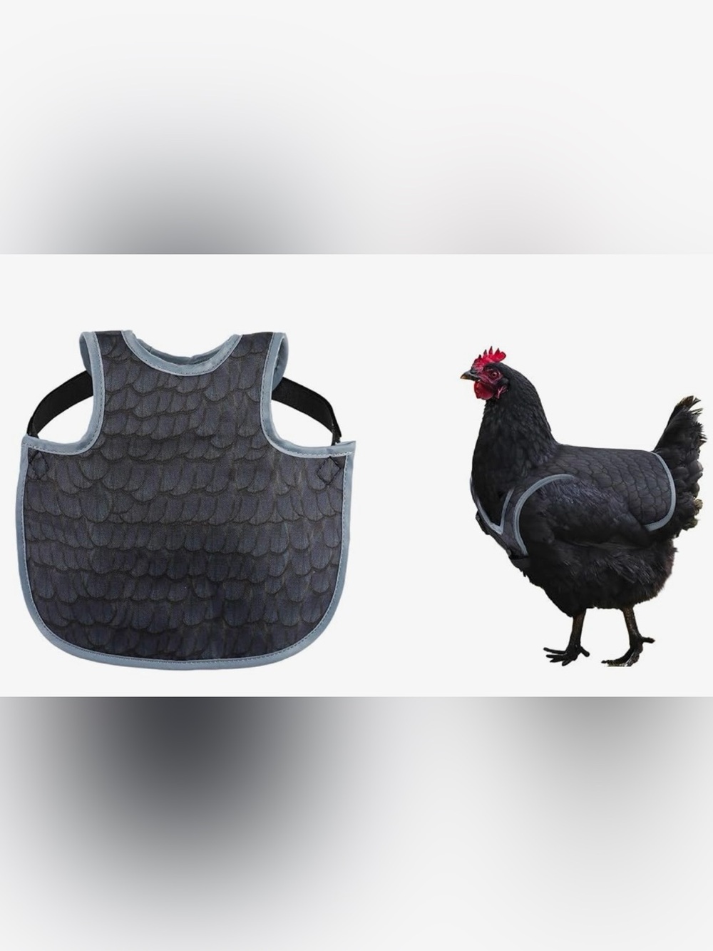 Chicken Protective Vest - Black Feather
